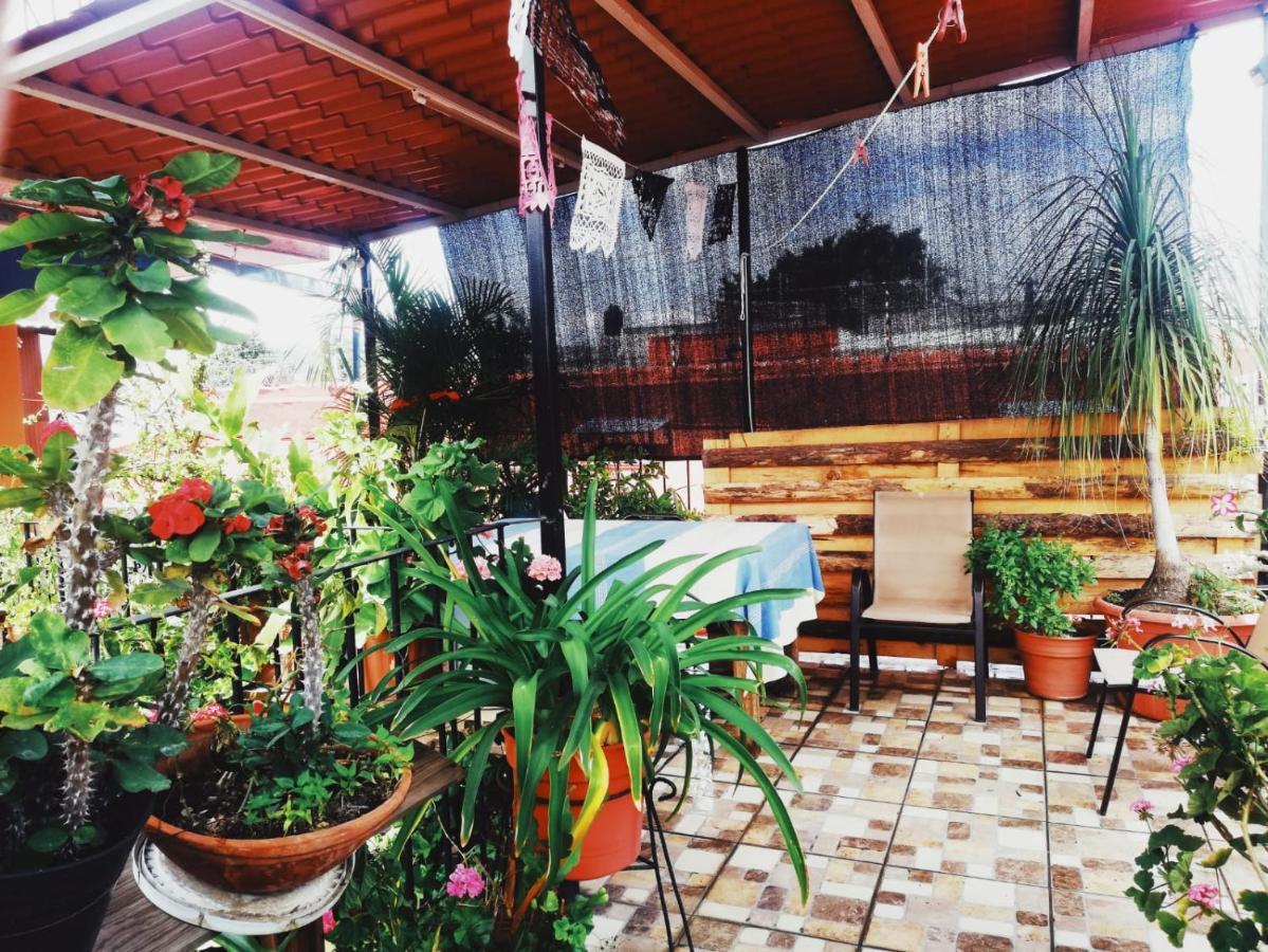 Hotel El Rincon De Dona Bety Oaxaca Zewnętrze zdjęcie